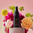 향기 | 대니맥켄지 밤쉘 향기 오일후기 달콤한 데일리 여신 향기