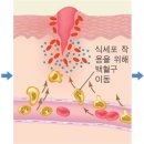 유미테라피 네이버블로그