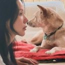평화수퍼 이미지