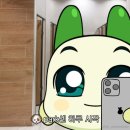 카페,촉 네이버블로그