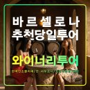 포도밭민박 | 바르셀로나 까바 와이너리 투어,스페인 공인 한국인 소믈리에,산 사두르니