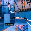 (주)삼성라이온즈레포츠센터 | 부산 프리다이빙 2회차 내돈내산 찐 강습후기, 덕다이빙 배우기