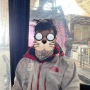 태생파크 | 올해 추억 남기는 김에 작년 추억 소환! 패럴팸과 첫 스키장🎿 '비발디파크' 소노벨 B 및 스키장 이용 후기