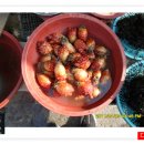 하동공설시장 이미지