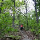 전동면사무소 이미지