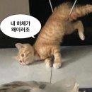 화정하늘점핑다이어트 | 부산 수영역 점핑 다이어트🏃🏻‍♀️‍➡️내돈내산