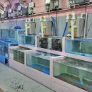 막썰어회수산 이미지