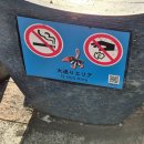 BJ모터스 | 2024년 연말 여행 - 친스코(ちんすこう) 구입 후 국제거리(国際通り) 구경