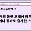 "7년 7개월 동안 모태에 머무르다 태어나 곧바로 출가한 스님" 법구경 이야기 72-2 이미지