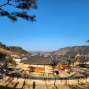 [국내 여행] 청송 한 바이 소노 한옥호텔앤빌리지, 영감댁 체험, 청송 솔빛 정원