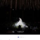 대전·충청 웨딩 준비 중이라면? 최신 후기·계약 소식 총정리