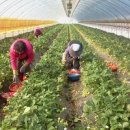 은산축산 이미지