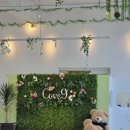 코브나인 이미지