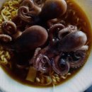 연안유선 이미지