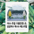 제5회 여수음악제 | 여수 주말 가볼 만한 곳! 2026 섬섬여수 옥수수 페스티벌 후기