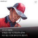 도그스토리 이미지