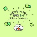 다모아펜션 | 레저다모아 불멍화로대 캠핑 바베큐 가마솥 사용후기