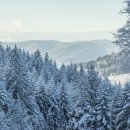 인간분수 이미지