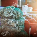 명문당사거리 이미지