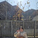 THE 조은 태권도장 이미지