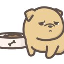 더파크동물의료센터 이미지