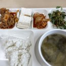 자연애퀵&쿡 | ~240602