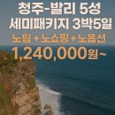 ✈ 청주 ➜ 발리 5성급 세미패키지 3박5일 이미지