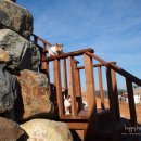 여수 메종블랑쉐 펜션 이미지