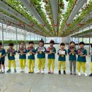 인서농장 이미지