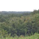 신흥보건진료소 이미지