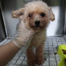 삼천도서관 이미지