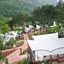 동강글램핑 이미지