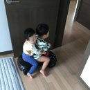 승구농장 | 32개월,16개월 - 승승브라더 기록