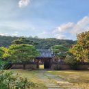 진주 이세후 종가 이미지