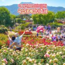 전라도 곡성 세계 장미축제 입장권 섬진강 기차마을 장미공원 실시간