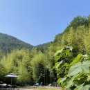 안골염소농장 이미지