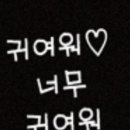 혁이