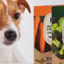 비트덴탈 이미지