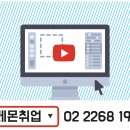 레몬직업소개소 - 서귀포시 | 레몬직업소개소