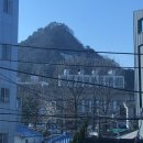 도도플레이트(DODOPLATE)