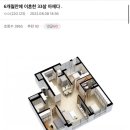 DINK(딩크)족 말고 싱크(SINK)족이라고 들어봤냐? 이미지