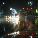 바람의노래 이미지