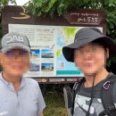 하단동1163 이미지