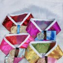 변신하개 이미지