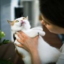 캐나다동물병원 이미지