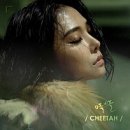 치타(CHEETAH) 이미지