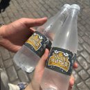 월드펫투어 | LA 유니버셜 스튜디오 할리우드 | 해리포터 심슨 스튜디오 투어 워터월드 후기