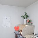 기초튼튼 한자공부 이미지
