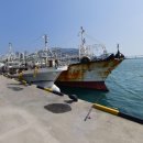 이(E)-메디칼 이미지