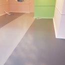 늘, 고운펫 이미지